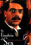 The Einstein of Sex poster image