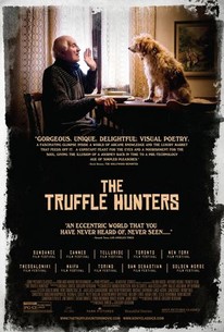 Watch trailer for The Truffle Hunters