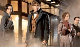 Fantastic Beasts and Where to Find Them: Announcement Trailer