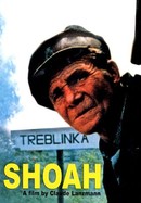 Shoah poster image