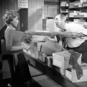 ASK ANY GIRL, Shirley MacLaine, Jim Backus, 1959