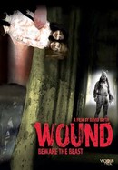 Wound poster image