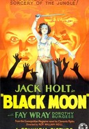 Black Moon poster image