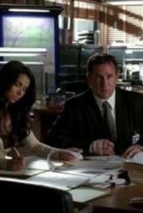 Without a Trace - Season 5 Episode 9 - Rotten Tomatoes