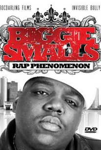 Notorious B.I.G.: Biggie Smalls - Rap Phenomenon