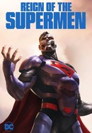 Reign of the Supermen poster image