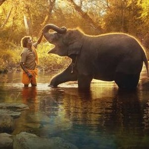 The Elephant Whisperers (2022) photo 2