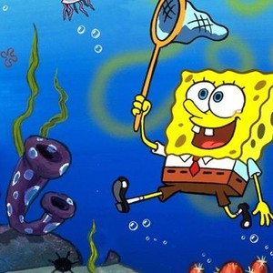 spongebob season 9 dvd