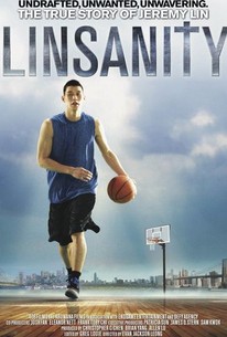 Linsanity poster