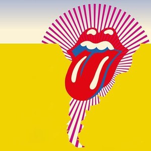 The Rolling Stones Olé, Olé, Olé!: A Trip Across Latin America photo 6