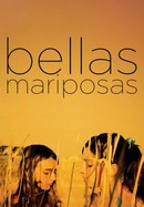 Bellas Mariposas poster image