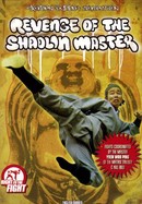 Revenge of the Shaolin Master poster image