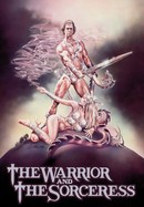 The Warrior and the Sorceress poster image