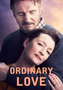 Ordinary Love poster image