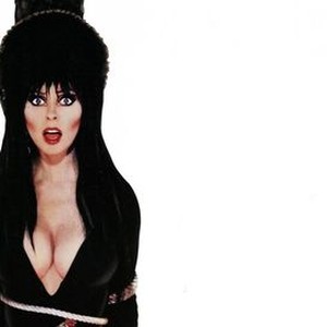 "Elvira, Mistress of the Dark photo 8"