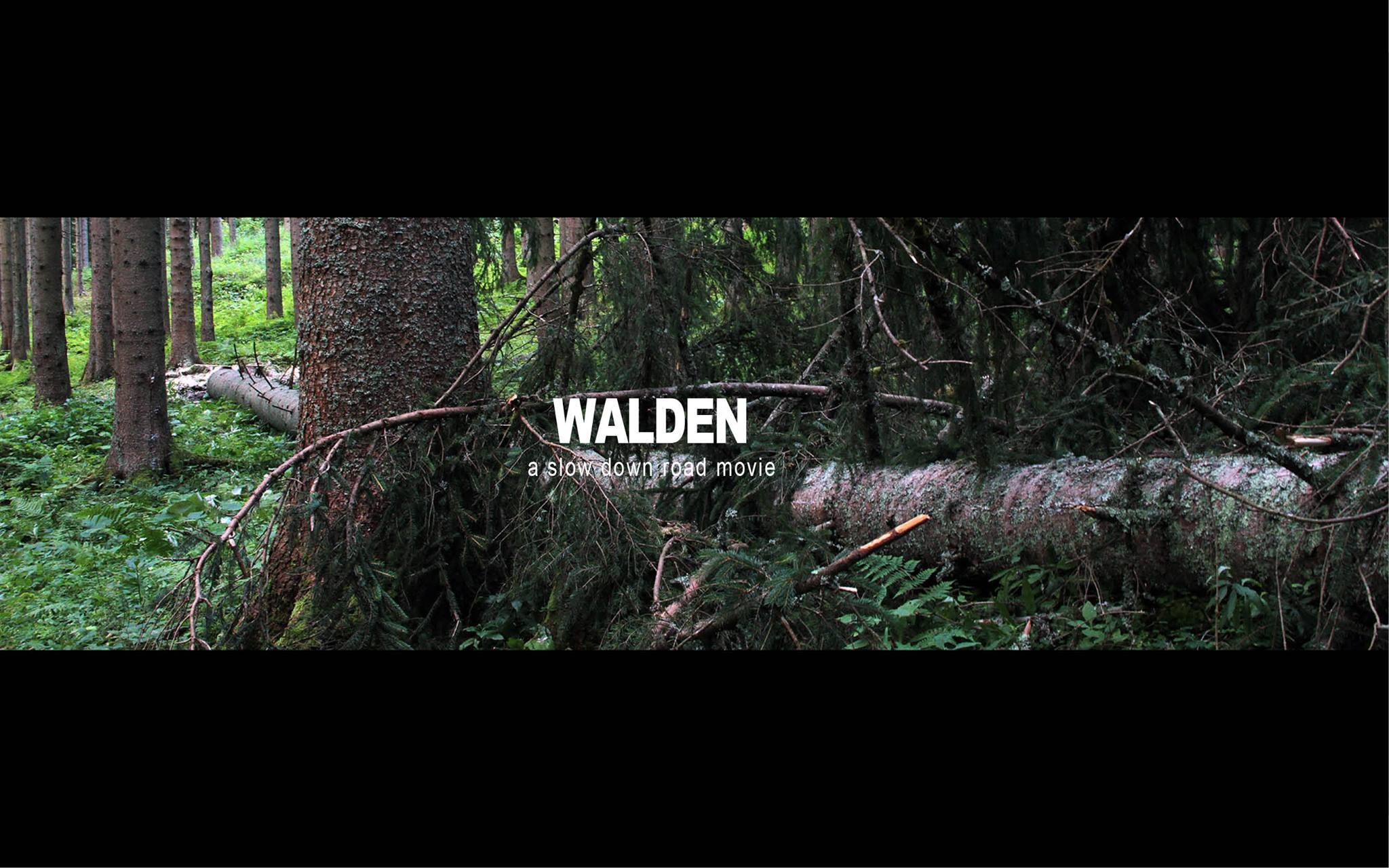 Walden Pictures Rotten Tomatoes