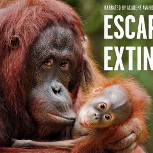 Escape From Extinction photo 10