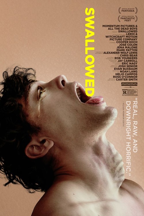 Swallowed poster