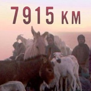 7915 Km photo 8