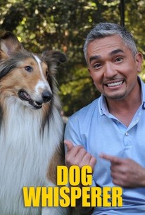 Dog Whisperer | Rotten Tomatoes