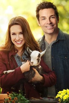All of my heart inn love watch online on sale