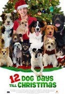 12 Dog Days Till Christmas poster image