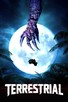 Poster for 