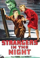 Strangers in the Night poster image