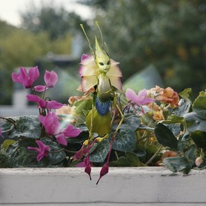 The Spiderwick Chronicles - Rotten Tomatoes