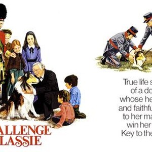 Courage of Lassie - Rotten Tomatoes