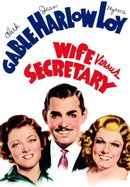 Wife vs. Secretary poster image