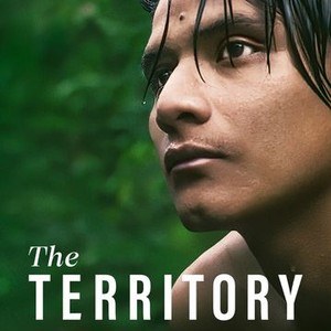 The Territory photo 13