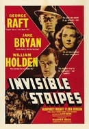 Invisible Stripes poster image