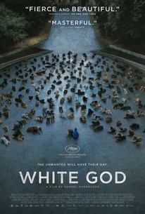 White God poster