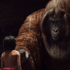 The Jungle Book photo 9