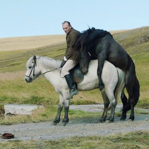 OF HORSES AND MEN, (aka HROSS I OSS, aka VON MENSCHEN UND PFERDEN), Ingvar Eggert Sigurdsson, 2013. ©Music Box Films