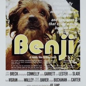 Benji movie sale