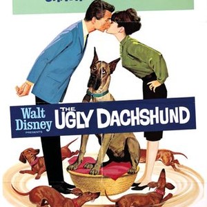 The Ugly Dachshund (1966) photo 14