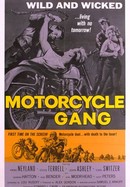 Motorcycle Gang poster image
