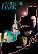 A Shot in the Dark poster image
