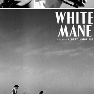 White Mane (1952) photo 14