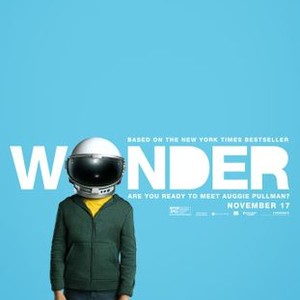 wonder movie review rotten tomatoes