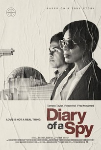 Diary of a Spy poster