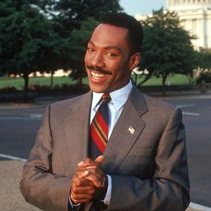 The Distinguished Gentleman (1992)