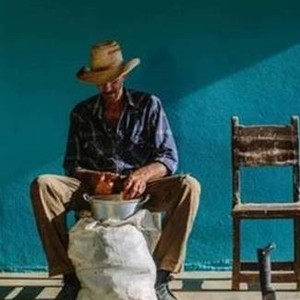 Cuban Food Stories photo 7