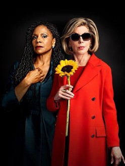 The good fight netflix online