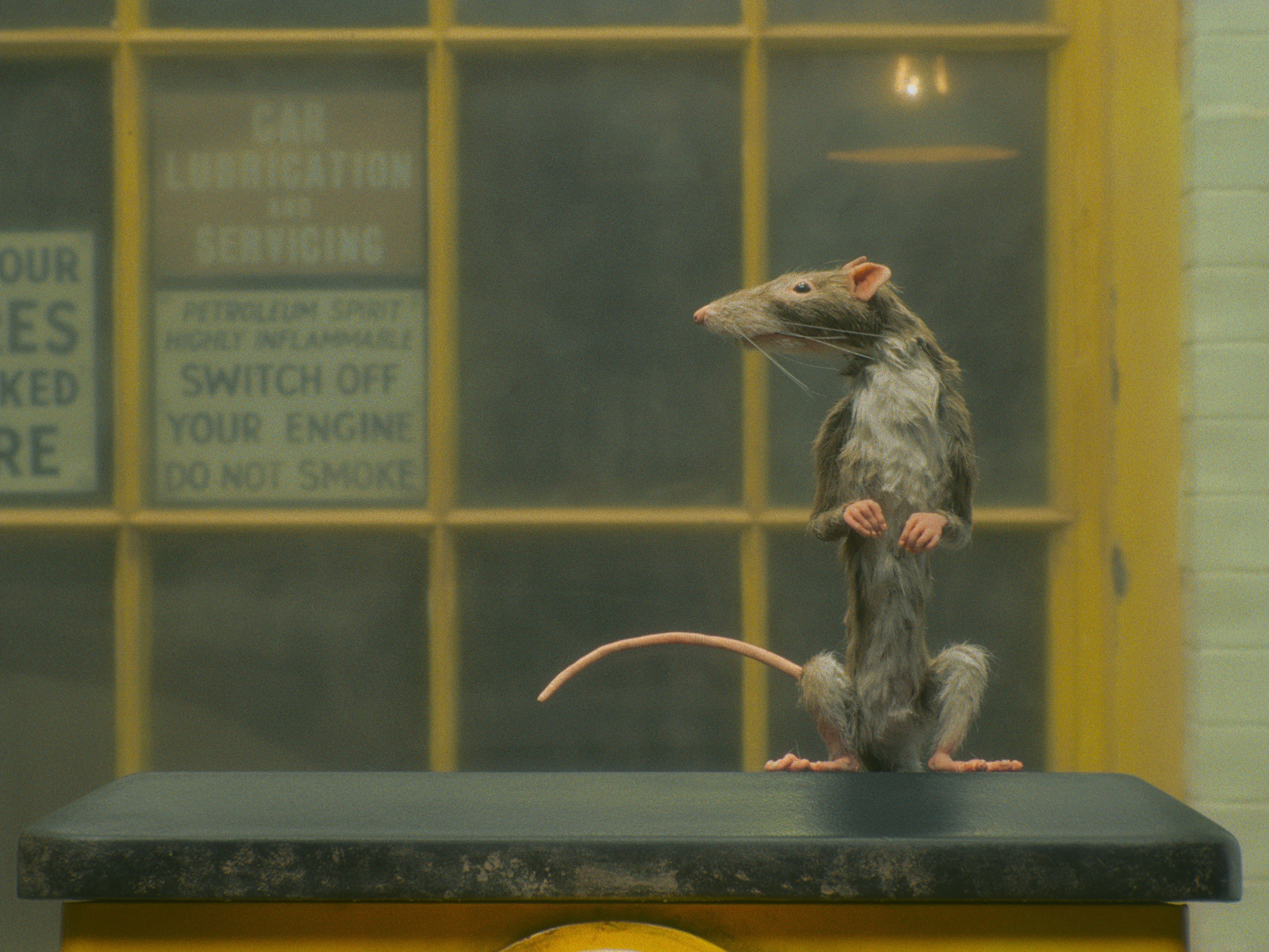 The Rat Catcher - Rotten Tomatoes