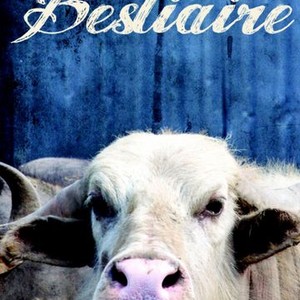 Bestiaire photo 9