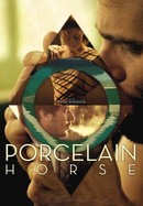 Porcelain Horse poster image