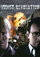 Velvet Revolution poster image